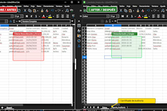 clean sales inventory client excel CSV with audit report