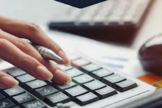 accounting and finance reports and pro drafting