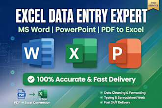 excel data entry, pdf to excel and data entry work