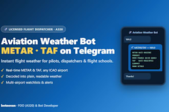 build an aviation weather bot