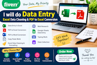 do data entry work, PDF conversion, and excel copy paste