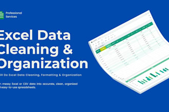 excel data cleaning and formatting