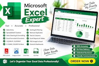 be your microsoft excel expert for data entry, formulas, formatting and r