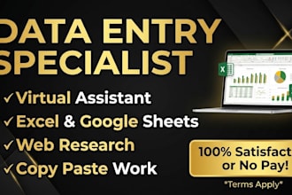do professional data entry, excel data entry,and webresearch