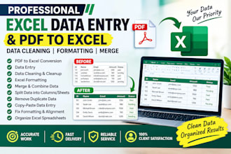 do professional excel data entry, PDF to excel, data cleaning and formatting