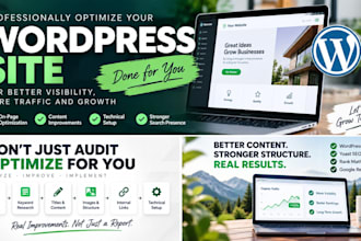 professionally optimize your wordpress website for google SEO
