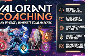 provide educational valorant coaching and vod review to improve your aim