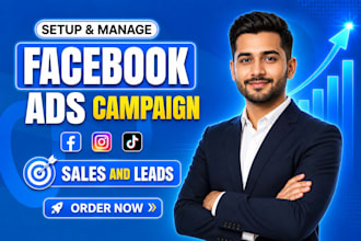 set up manage and optimize facebook instagram and meta ads campaign