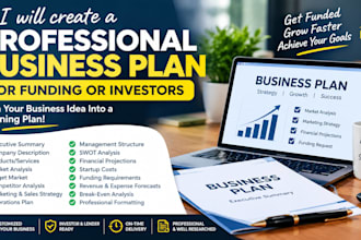create a professional business plan for funding or investors