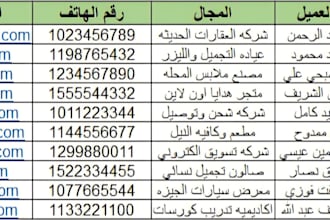 convert PDF to excel and format table professionally