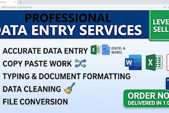 accurate data entry, excel data entry, and copy paste work