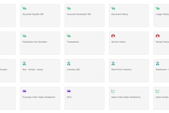 provide infor ln erp functional support and business process