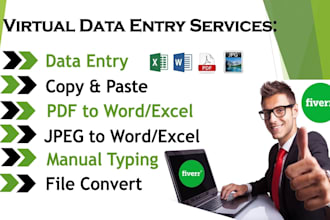 do accurate data entry, english urdu typing and ms office work