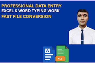 be your expert data entry, excel typing, and virtual assistant