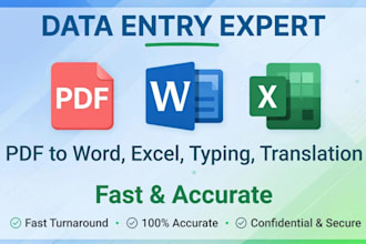 do data entry fast tayping pdf to word excel sheet