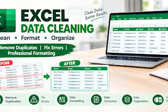 clean, format and organize your excel data