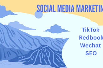 help manage your social media accounts in china