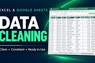 clean, format, and duplicate excel and google sheets data