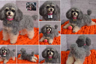 create lifelike custom needle felted poodle dog sculpture pet memorial portrait