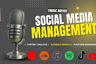 manage your music page as social media manager, content creator, artist growth