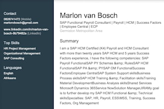 provide saphcm payroll consulting and support services