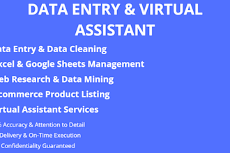 do expert e commerce data entry, copy paste and web research