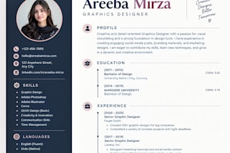 professional CV maker, linkedin resume, formatting and CV update