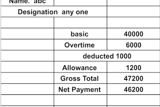 design professional HR salary statement for employees