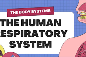 desgine a presentation of human circulatory system