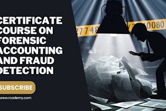 do forensic accounting asset tracing and fraud investigation, fraud detection