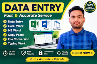 do data entry, excel, word and copy paste work