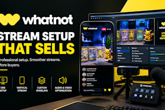 setup professional whatnot obs stream