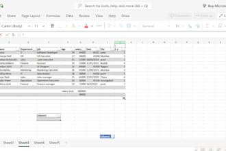create data entry and data analytics