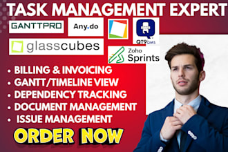 setup task management zoho sprints ganttpro anydo meistertask glasscubes qt9 qms