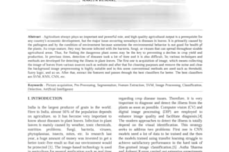 write ai researched content