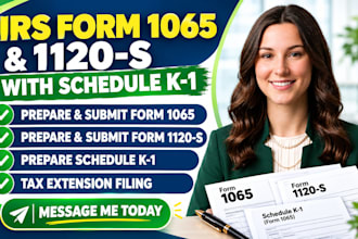 prepare and file US form 1065 and form 1120s tax returns with schedule k1