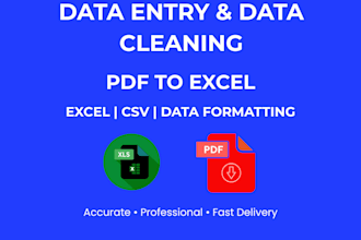 do excel data entry, data cleaning and formatting