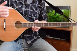 record mandola, bouzouki, psaltery, hurdy gurdy, oud and fiddle