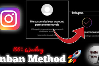 restore instagram page, ig profile unbanning issues