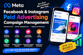 run professional facebook and instagram paid ad campaigns