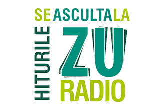 promote and airplay your song on radio zu romania