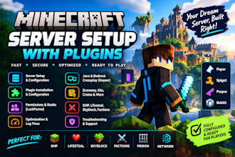 setup a professional minecraft server with plugins