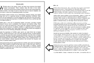 format and edit your word documents