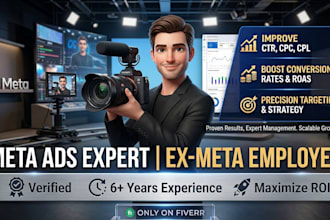 setup and optimise fb and ig ads campaign to get leads and sales