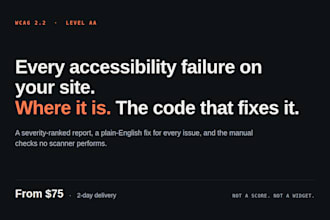 audit your website for wcag 2 2 aa accessibility and give you a fix list