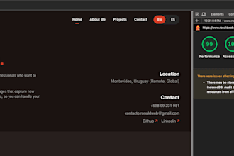audit and optimize your website performance and lighthouse score