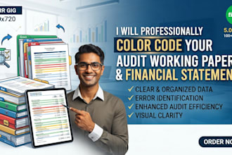 professionally color code your audit working papers and financial statements