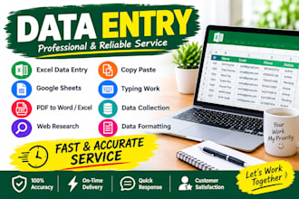 do accurate data entry and copy paste task