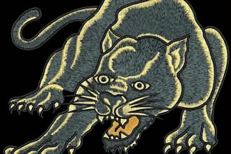 do embroidery digitizing for embroidery design, logo digitize