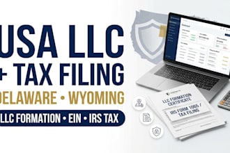 do USA tax filing and delaware wyoming llc registration for your business